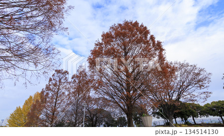 山下公園の要綱 134514130