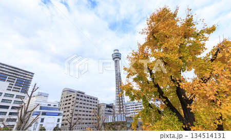 山下公園の要綱 134514131