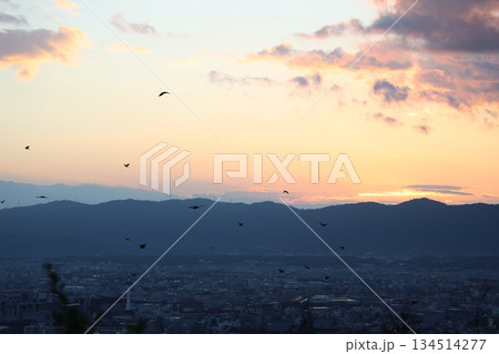 夕暮れの街と飛ぶ鳥 夕暮れの街と飛ぶ鳥 134514277