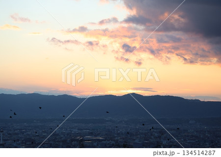 夕暮れの街と飛ぶ鳥 134514287