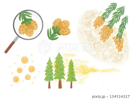 スギ花粉の飛散や拡大のイラスト 134514327