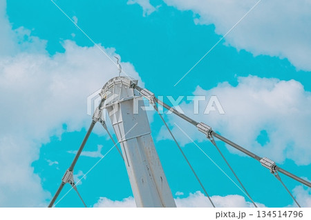 鷺舞橋の上で空を見あげる一羽のサギ 134514796