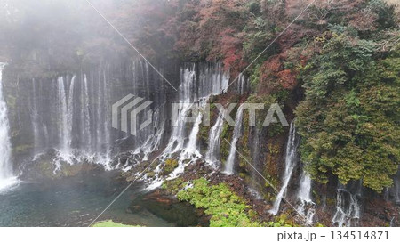 世界遺産 白糸の滝 │ 霧に包まれる紅葉と名瀑の全景 │ 空撮 134514871