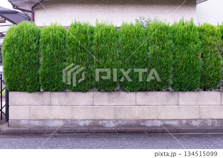 street wall background ,Industrial background, empty grunge urban street with warehouse brick wall street wall background ,Industrial background, empty grunge urban street with warehouse brick wall 134515099