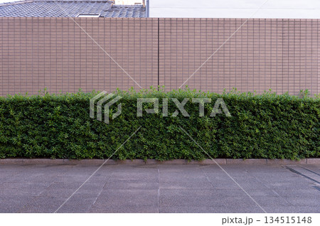 street wall background ,Industrial background, empty grunge urban street with warehouse brick wall street wall background ,Industrial background, empty grunge urban street with warehouse brick wall 134515148