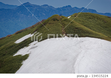 茂倉岳から見る谷川連峰・一ノ倉岳と上州武尊山 134515224