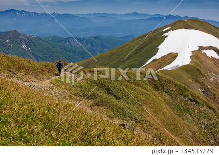 谷川連峰・茂倉岳稜線を行く登山者と一ノ倉岳・至仏山・日光白根山・上州武尊山の山並み 134515229