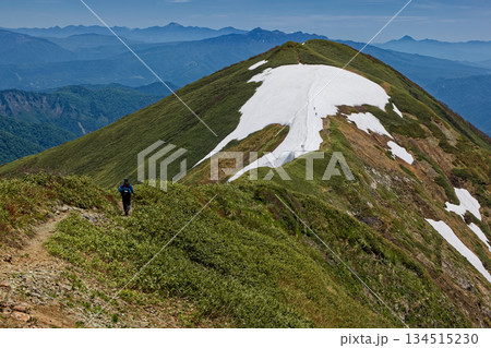 谷川連峰・茂倉岳稜線を行く登山者と一ノ倉岳・日光白根山・上州武尊山・皇海山の山並み 谷川連峰・茂倉岳稜線を行く登山者と一ノ倉岳・日光白根山・上州武尊山・皇海山の山並み 134515230