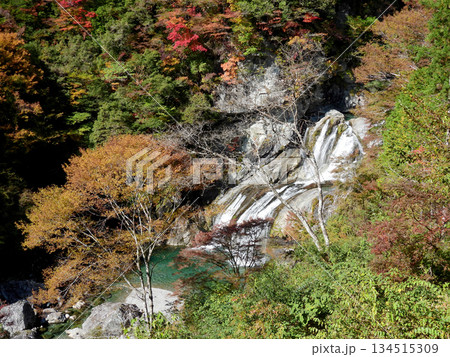 紅葉に囲まれたアメガエリの滝 紅葉に囲まれたアメガエリの滝 134515309