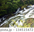 青々とした自然と滝 134515472