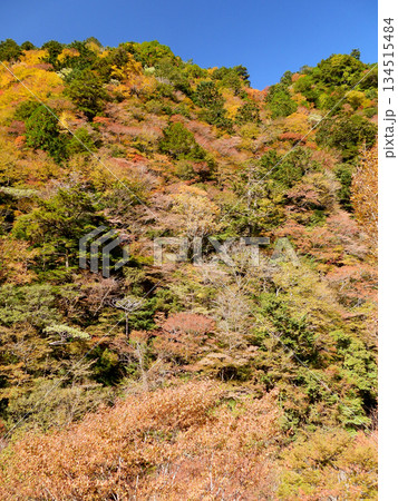 紅葉した渓谷の山 134515484