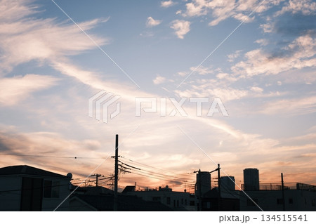 夕暮れの空に浮かぶ、住宅街と電線のシルエット 夕暮れの空に浮かぶ、住宅街と電線のシルエット 134515541