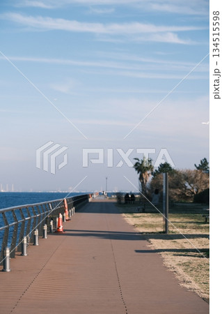晴れた日の海岸沿いの木製デッキ遊歩道と青空 晴れた日の海岸沿いの木製デッキ遊歩道と青空 134515598
