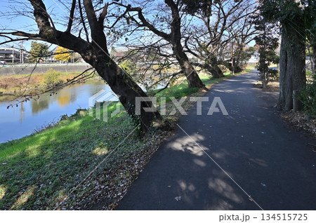 越谷散歩・元荒川沿いの道　越谷市御殿町　 134515725