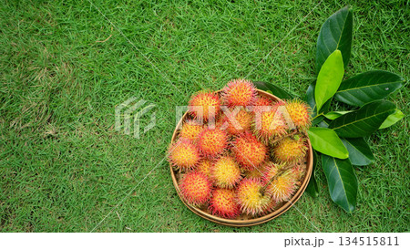 Ripe rambutan sweet organic tropical fruit in basket, Harvest organic garden Ripe rambutan sweet organic tropical fruit in basket, Harvest organic garden 134515811