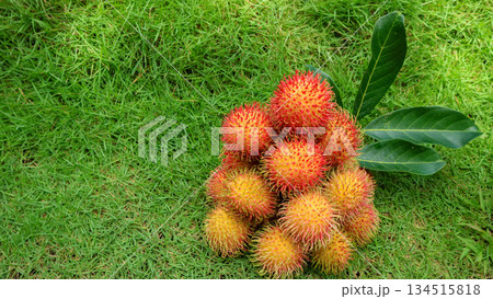 Red hairy rambutan fruit on grass background, tropical fruit asia 134515818