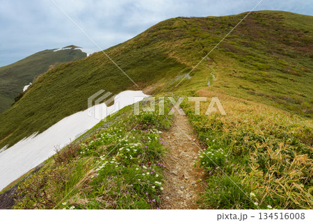 蓬峠への縦走路から見る谷川連峰・茂倉岳と一ノ倉岳 蓬峠への縦走路から見る谷川連峰・茂倉岳と一ノ倉岳 134516008