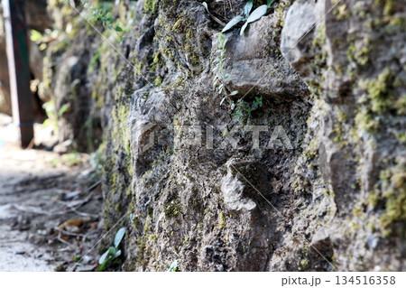 Moss Covered Stone Wall with Natural Texture Moss Covered Stone Wall with Natural Texture 134516358