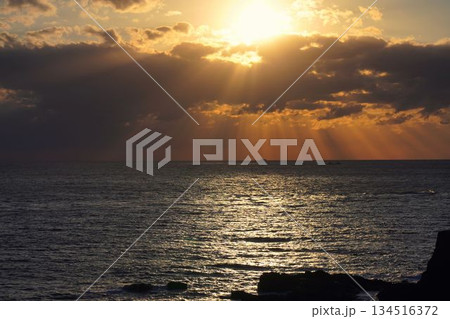 天使の梯子 134516372