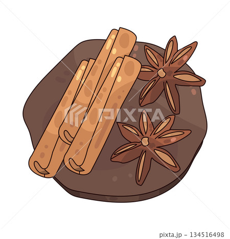 illustration of cinnamon and star anise 134516498