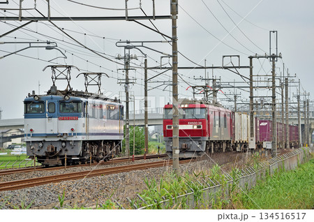 東北本線 栗橋ー東鷲宮 JR貨物 EH500-38(仙台) EF65-2092(新鶴見) 東北本線 栗橋ー東鷲宮 JR貨物 EH500-38(仙台) EF65-2092(新鶴見) 134516517