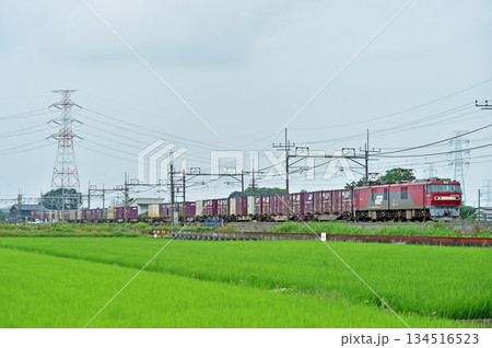 東北本線　東鷲宮ー栗橋　JR貨物　EH500-66（仙台） 134516523