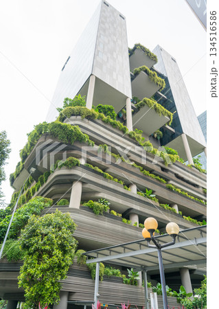 パークロイヤル コレクション ピッカリング シンガポール 134516586