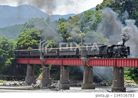 大井川鐵道 抜里ー川根温泉笹間渡 C56-44 大井川鐵道 抜里ー川根温泉笹間渡 C56-44 134516783