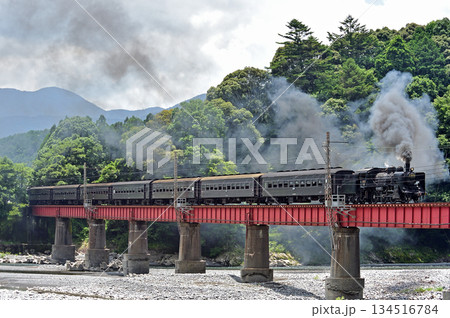 大井川鐵道 抜里ー川根温泉笹間渡 C56-44 大井川鐵道 抜里ー川根温泉笹間渡 C56-44 134516784