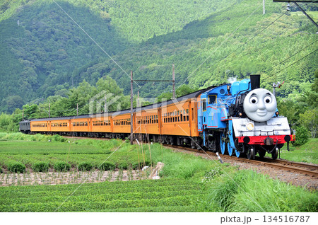大井川鐵道 抜里ー家山 C11-227 大井川鐵道 抜里ー家山 C11-227 134516787