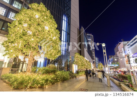 名古屋市、名駅通のイルミネーション 名古屋市、名駅通のイルミネーション 134516874