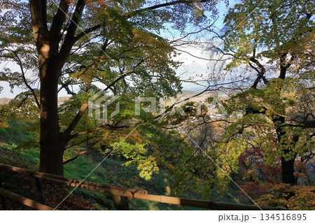 The colored autumn leaves, koyo, at Chusonji Buddhist Temple in Hiraizumi town, Iwate prefecture of Japan in mid-November The colored autumn leaves, koyo, at Chusonji Buddhist Temple in Hiraizumi town, Iwate prefecture of Japan in mid-November 134516895