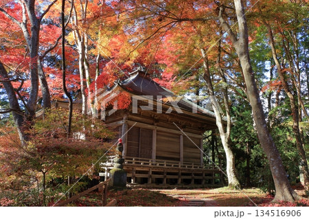 The colored autumn leaves, koyo, at Chusonji Buddhist Temple in Hiraizumi town, Iwate prefecture of Japan in mid-November 134516906