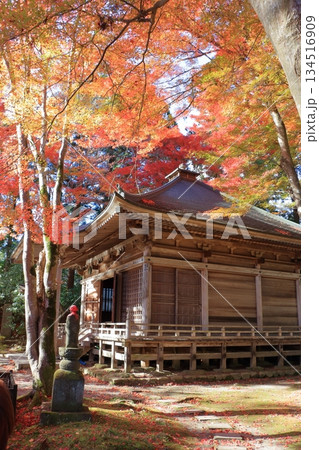 The colored autumn leaves, koyo, at Chusonji Buddhist Temple in Hiraizumi town, Iwate prefecture of Japan in mid-November The colored autumn leaves, koyo, at Chusonji Buddhist Temple in Hiraizumi town, Iwate prefecture of Japan in mid-November 134516909