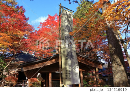 The colored autumn leaves, koyo, at Chusonji Buddhist Temple in Hiraizumi town, Iwate prefecture of Japan in mid-November 134516919