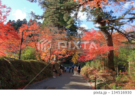 The colored autumn leaves, koyo, at Chusonji Buddhist Temple in Hiraizumi town, Iwate prefecture of Japan in mid-November The colored autumn leaves, koyo, at Chusonji Buddhist Temple in Hiraizumi town, Iwate prefecture of Japan in mid-November 134516930