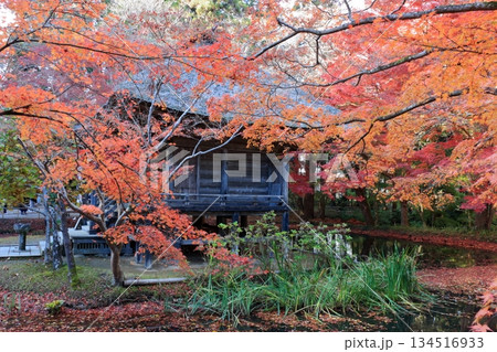 The colored autumn leaves, koyo, at Chusonji Buddhist Temple in Hiraizumi town, Iwate prefecture of Japan in mid-November The colored autumn leaves, koyo, at Chusonji Buddhist Temple in Hiraizumi town, Iwate prefecture of Japan in mid-November 134516933