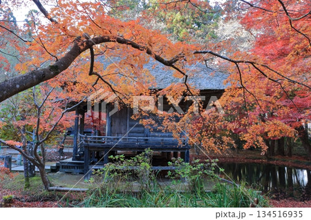The colored autumn leaves, koyo, at Chusonji Buddhist Temple in Hiraizumi town, Iwate prefecture of Japan in mid-November The colored autumn leaves, koyo, at Chusonji Buddhist Temple in Hiraizumi town, Iwate prefecture of Japan in mid-November 134516935