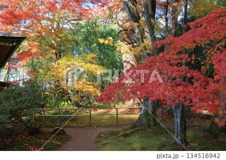 The colored autumn leaves, koyo, at Chusonji Buddhist Temple in Hiraizumi town, Iwate prefecture of Japan in mid-November The colored autumn leaves, koyo, at Chusonji Buddhist Temple in Hiraizumi town, Iwate prefecture of Japan in mid-November 134516942