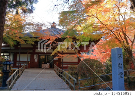 The colored autumn leaves, koyo, at Chusonji Buddhist Temple in Hiraizumi town, Iwate prefecture of Japan in mid-November The colored autumn leaves, koyo, at Chusonji Buddhist Temple in Hiraizumi town, Iwate prefecture of Japan in mid-November 134516955