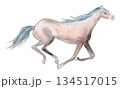 駆ける馬 134517015