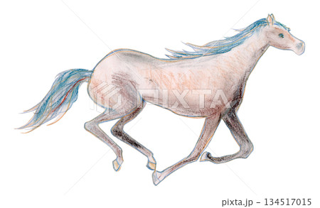 駆ける馬 駆ける馬 134517015