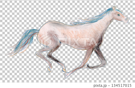 駆ける馬 駆ける馬 134517015