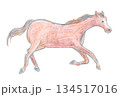 駆ける馬 134517016