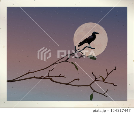 Old photograph of silhouette crow perched on a leafless branch have full moon and dramatic sky background fade condition graphic illustration have blank space. 134517447