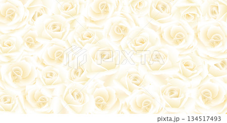 Blooming white rose flowers pattern background graphic illustration. 134517493
