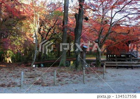 The wooded pathways in the Buddhist temple complex of Chusonji temple in Hiraizumi town of Iwate prefecture in Tohoku, Japan 134517556