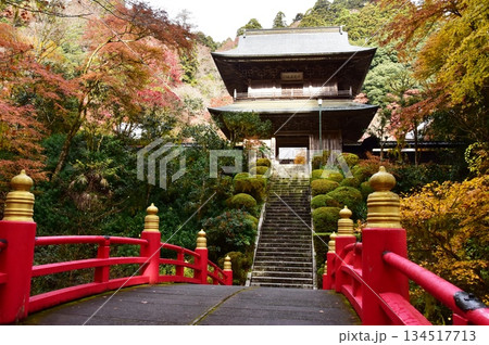 栃木県 雲厳寺の紅葉と山門と反り橋 栃木県 雲厳寺の紅葉と山門と反り橋 134517713