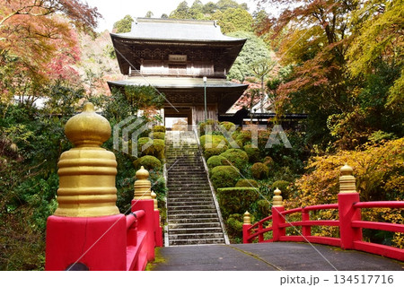 栃木県 雲厳寺の紅葉と山門と反り橋 栃木県 雲厳寺の紅葉と山門と反り橋 134517716