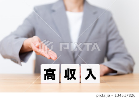 高収入のブロックとスーツを着たミドル女性ビジネスウーマン 高収入のブロックとスーツを着たミドル女性ビジネスウーマン 134517826